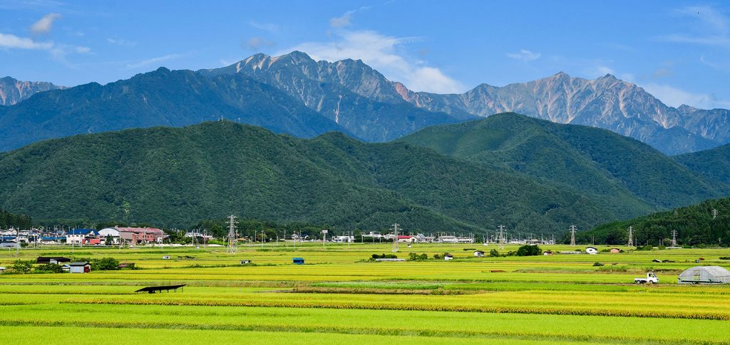 田園