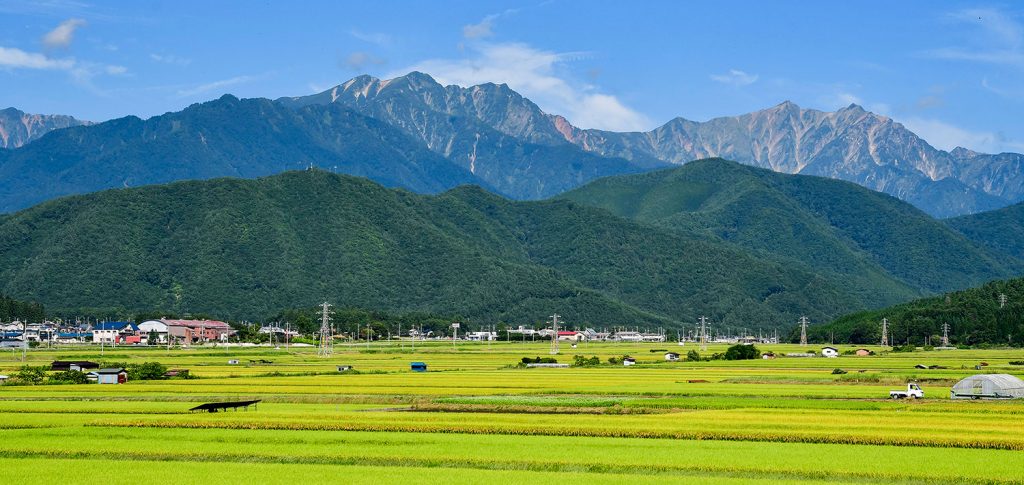 田園