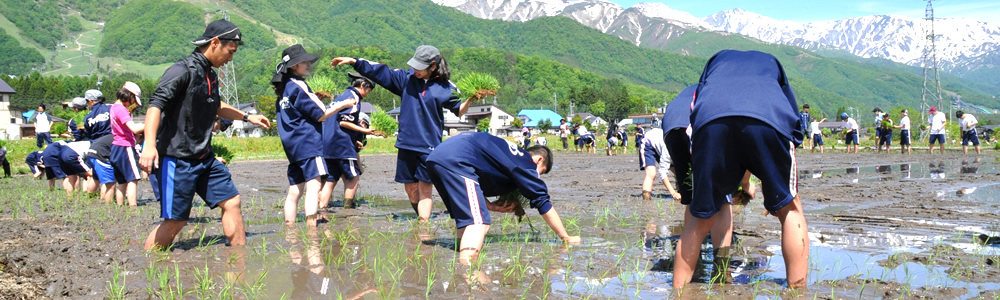 グリーンツーリズム